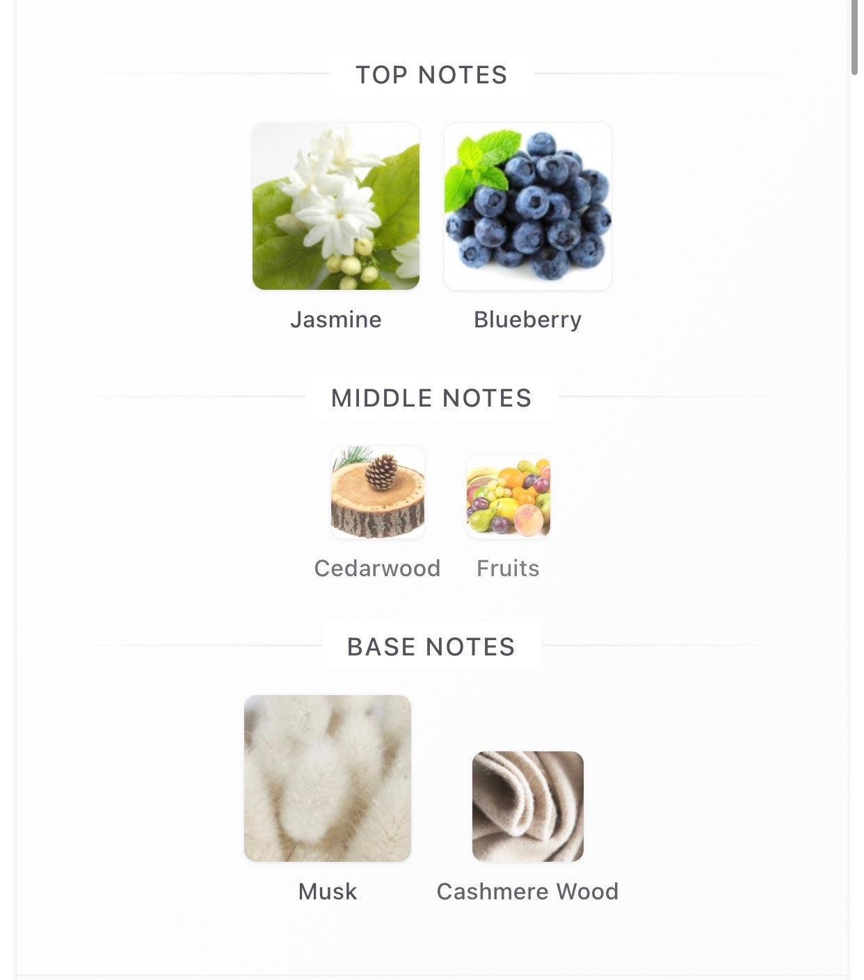 Blueberry Musk Ibraheem AlQurashi