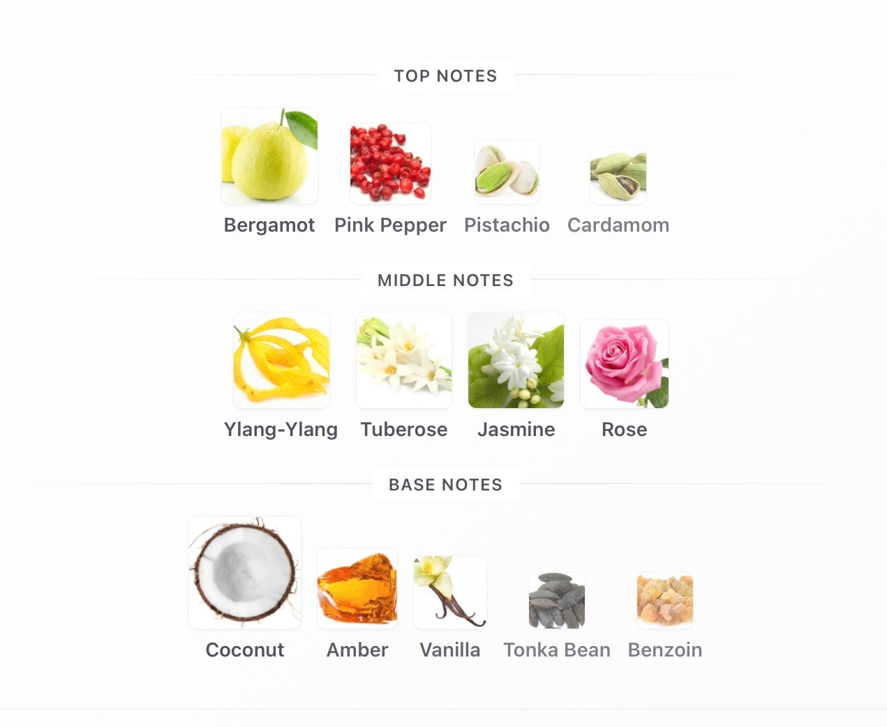 Tropical Hawaii Camara Perfumes