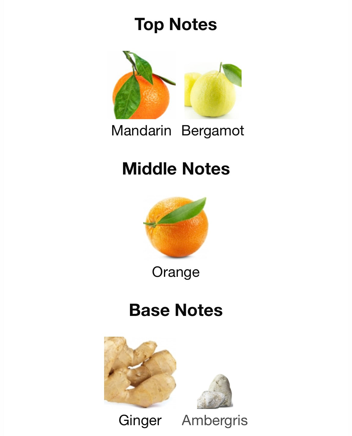 Jean Lowe Azure Maison Alhambra