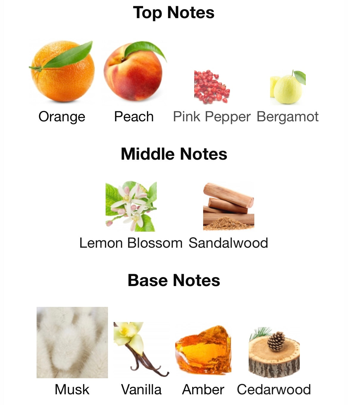 Dangerous Arrogate Assaf