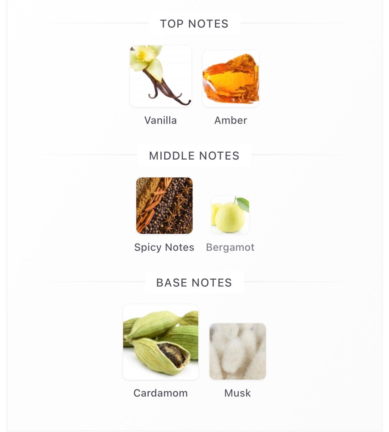 Cardamom Musk Ibraheem AlQurashi