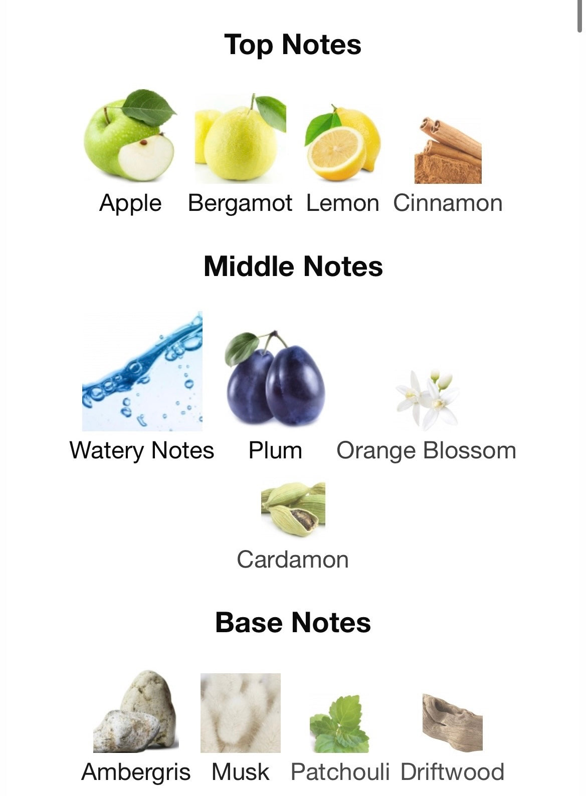 Hawas for Him Rasasi