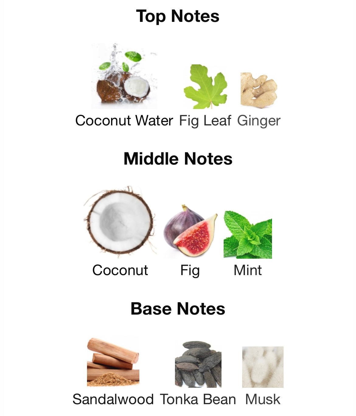 Hawas for Him Tropical Rasasi