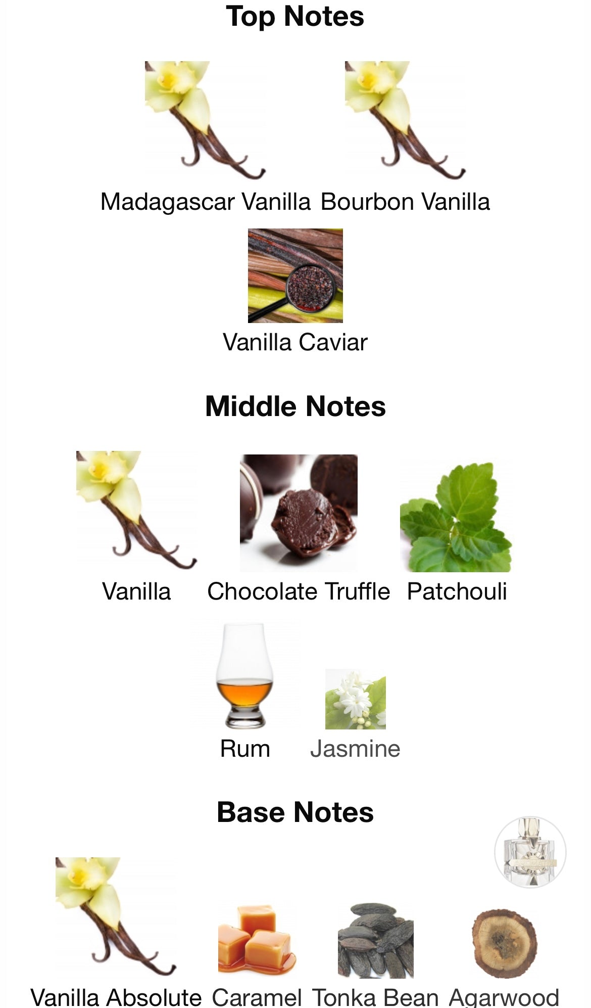 French Avenue Aromatix x xandal