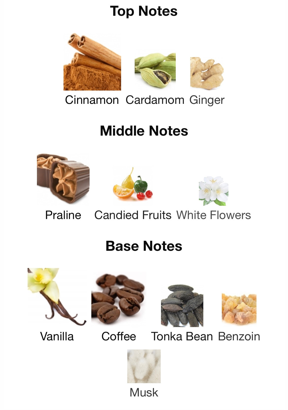 Khamrah Qahwa Lattafa Perfumes