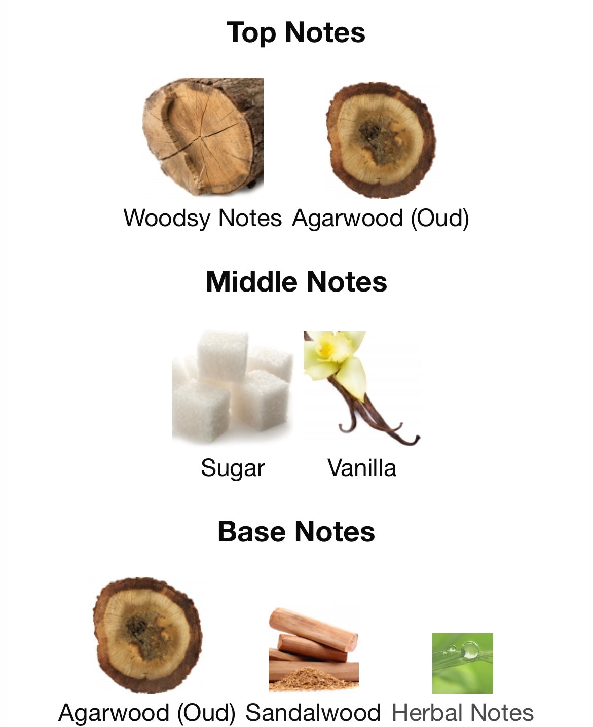 Ameer Al Oudh Intense