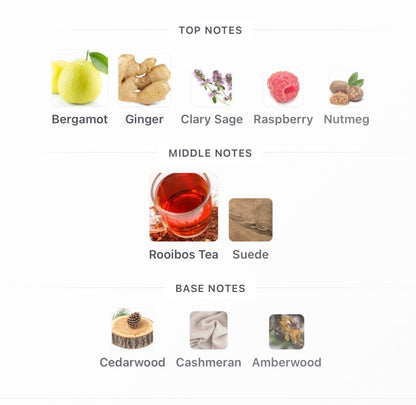 Dynasty Lattafa Perfumes