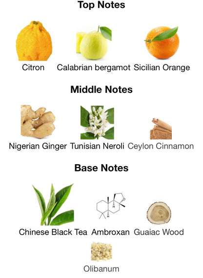 assaf frankel imagination