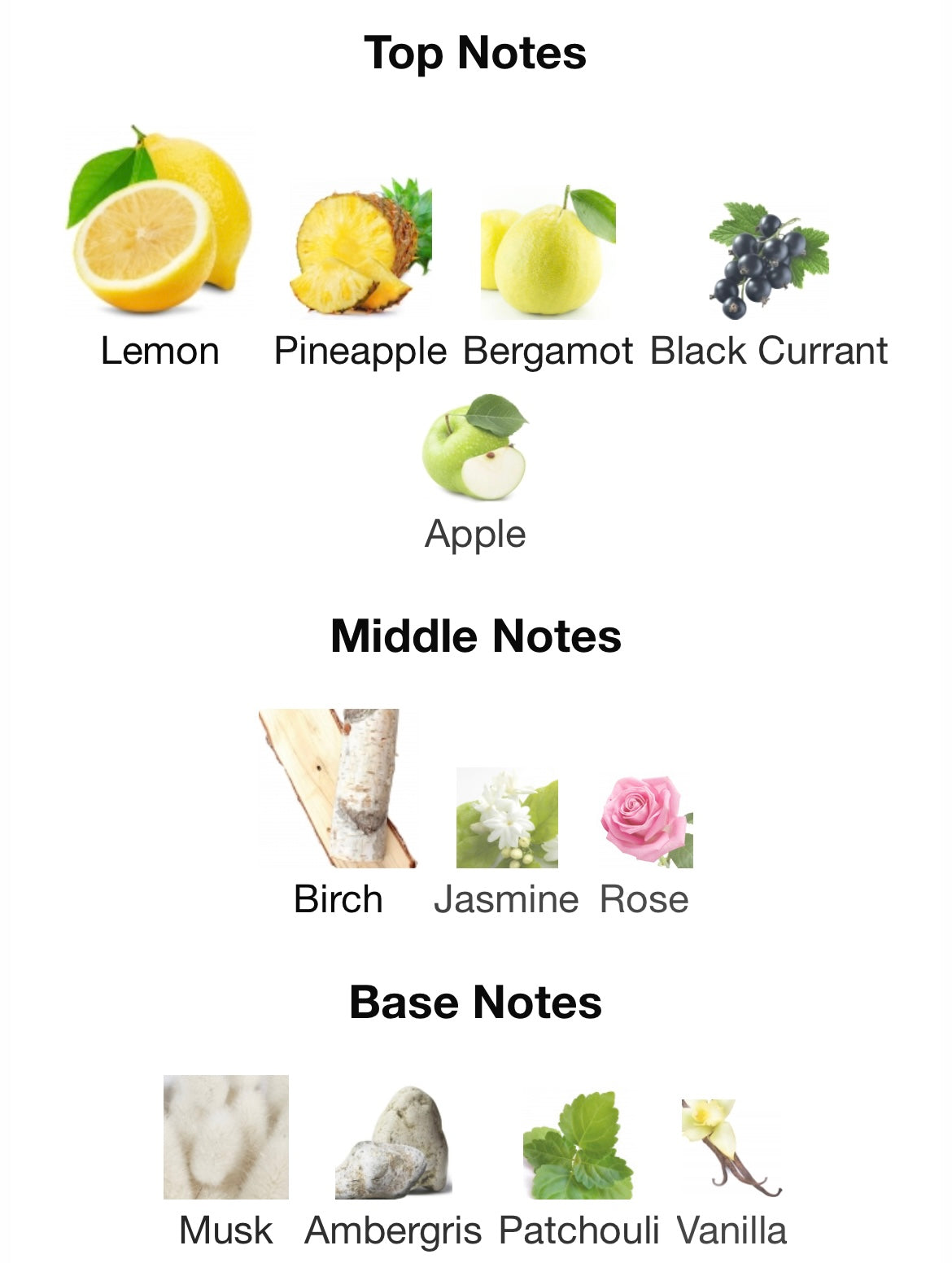 Assaf Frankel Aventus