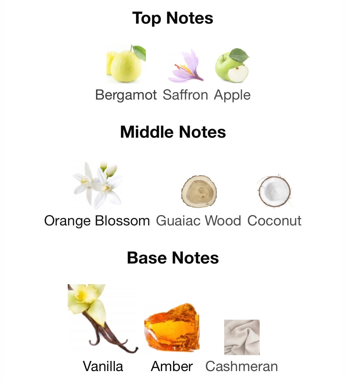 Nude Coral Diamond Ibrahim Al Qurashi