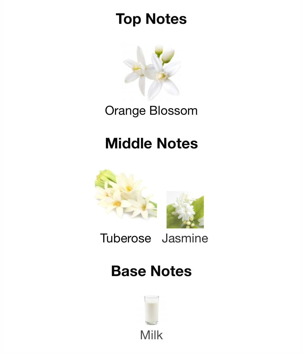 So Candid Maison Alhambra