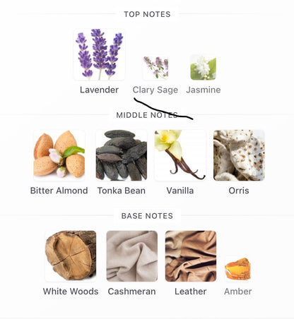 Eternal Bliss Camara Perfumes