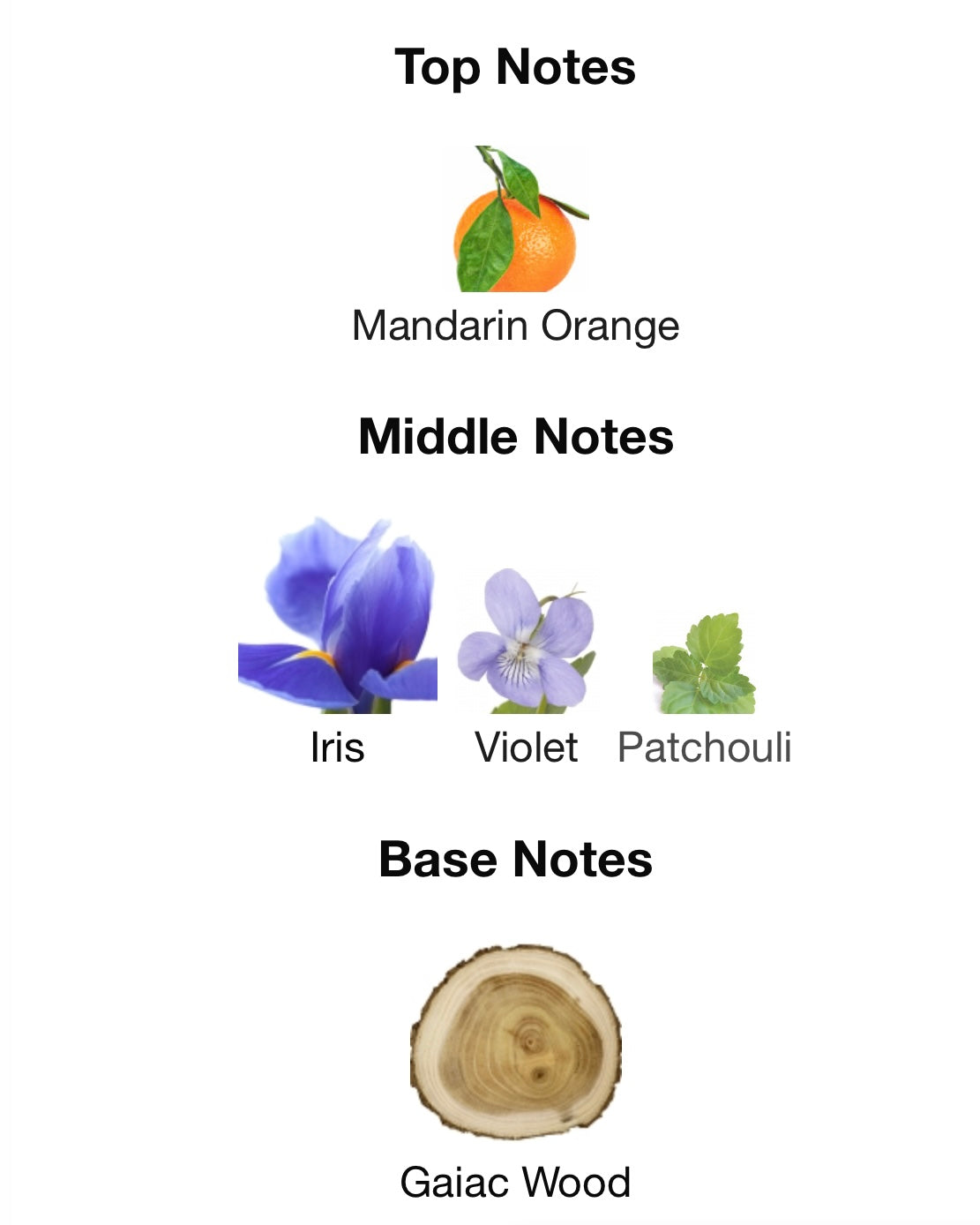 L'Adore Bakhur Classic Laverne